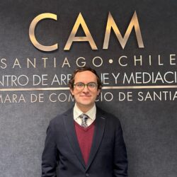 Tomás Andrés Correa Cannobio