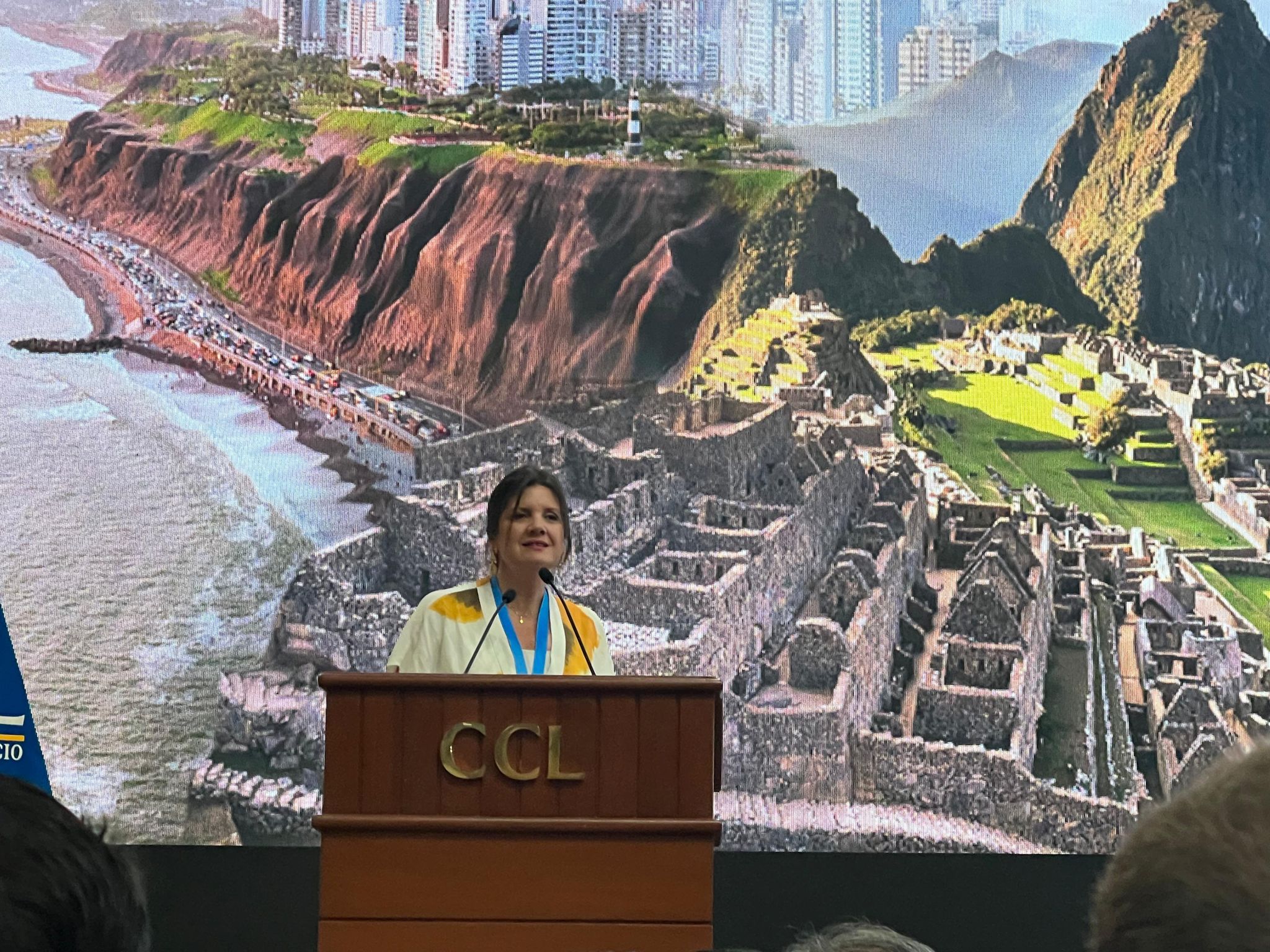 CAM Santiago Directora Ejecutiva