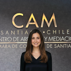 Valentina Aedo Saravia