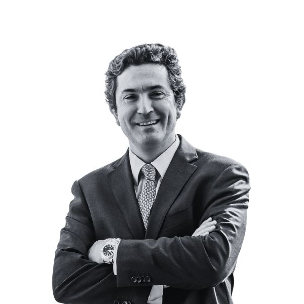 Guzmán Karadima, Rodrigo