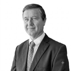 Hübner Guzmán, Luis Felipe