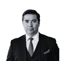 Riquelme Yáñez, Rodrigo
