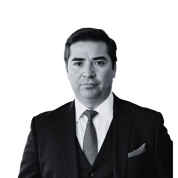 Riquelme Yáñez, Rodrigo
