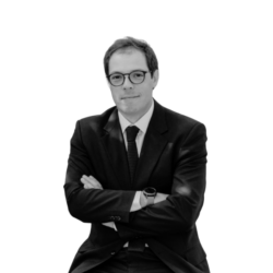 Silva Irarrázaval, José Joaquín