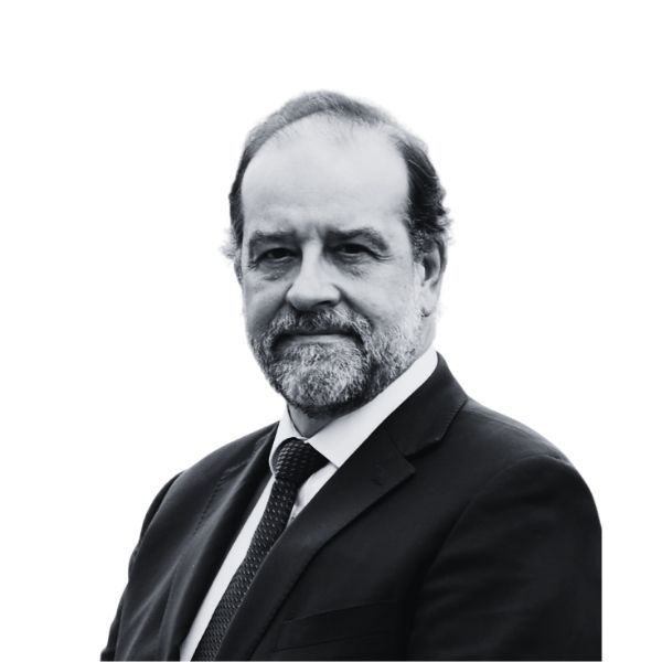 Varas Braun, Juan Andrés