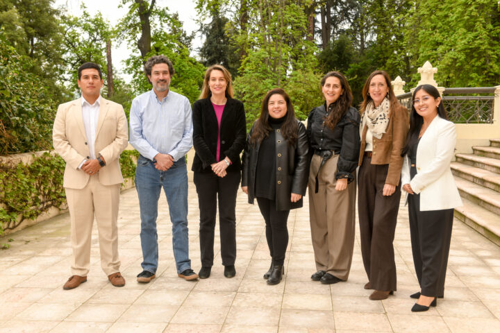 Concluye en Chile la III edición del Curso de Práctica Avanzada para Árbitros del CEIA y CIIAM