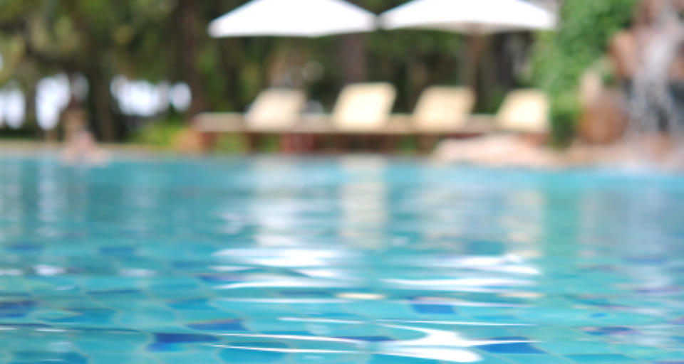 Paseos y fiestas de fin de año: Qué considerar y cómo org...