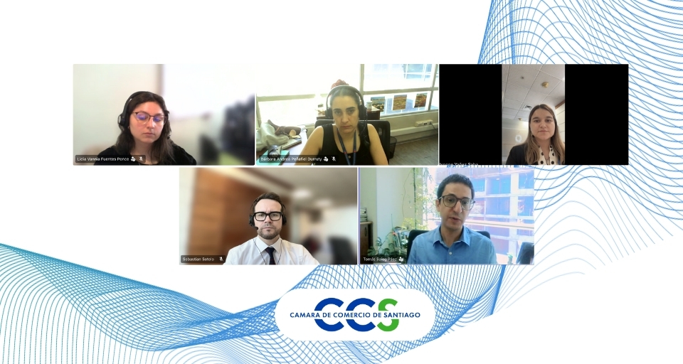 CCS aborda con Ministerio del Medio Ambiente desafíos regulatorios en implementación de Ley PUSU