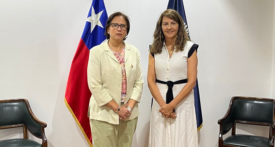 CCS sostiene reunión con la Subsecretaría de Prevención del Delito para abordar implementación de la ley de seguridad privada