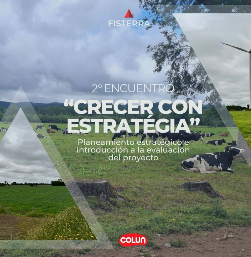 Fisterra Chile SpA y Finnegans impulsan la transformación digital empresarial en Chile