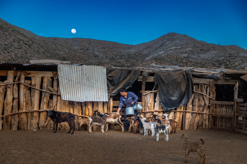 Fondo Esperanza supera los $320 mil millones en créditos e ...