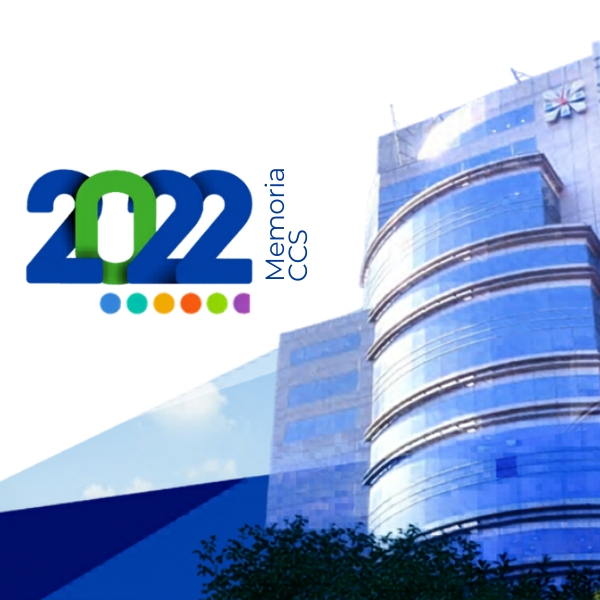 Memoria Anual 2022